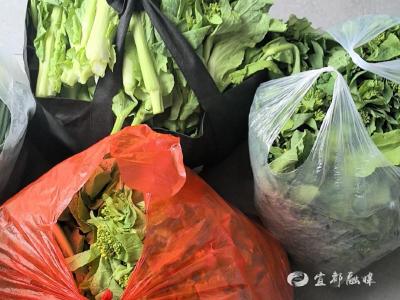 村里搭桥，“助农单”暖心成交