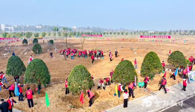 春涌宜都绘青绿 干群合力添新颜 宜都市举行2026年义务植树活动
