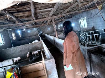 铁腕治污“清顽疾”，守护山村“一片绿”