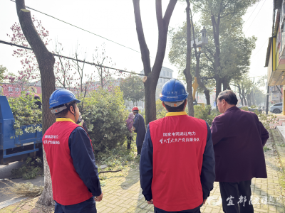【荆楚网】宜都供电：全程驻守 织密防外破“安全网”