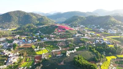 又是一年桃花红！3月27日，宜都市第五届赏花嘉年华如约而至，《美丽宜都我的家》带您走进架锅山村，赏“十里桃花”，品农家美食，尽享春日好风光