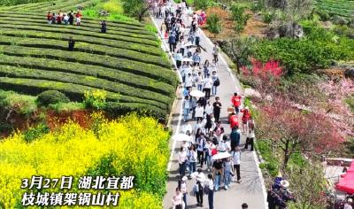 3月27日，宜昌市党的创新理论“百人千场进万站”文明实践示范宣讲暨宜都市第五届赏花嘉年华活动启幕