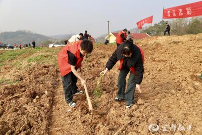 种下千株生态苗，植树添绿正当时