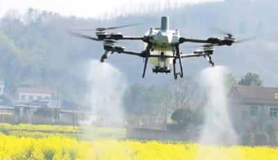 科技助力！5000亩仅需4天，松木坪高效开展油菜飞防工作