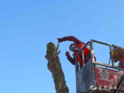 精准施策，守护市民春日“呼吸自由”