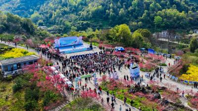 【荆楚网】理论“响”在花海里 文明花开满宜都