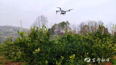 橘园春管有了“硬核主力军”