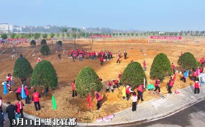 3月11日，宜都开展2026年义务植树活动