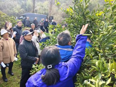 农技培训到田间 春耕备耕正当时