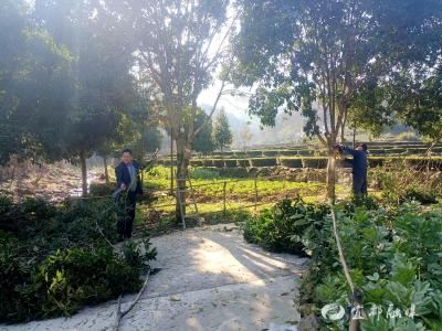 议事会上“点单”，村里立即“办结”