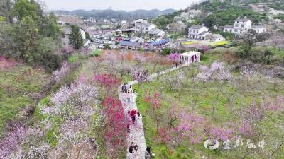 明天，相约宜都架锅山！直播入口、出行攻略→