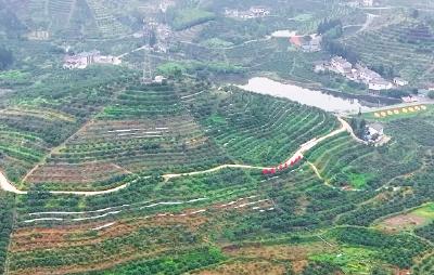 《美丽宜都我的家》走进红花套镇南桥村，听村书记讲述一颗柑橘带富一方的故事