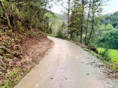 5处会车道，破解乡村“进退两难”