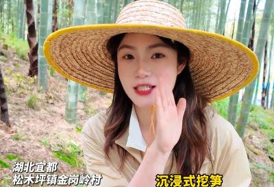 藏在宜都山林里的美味！来金岗岭村沉浸式体验挖笋乐趣
