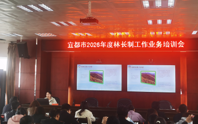以训赋能，守护一城青绿