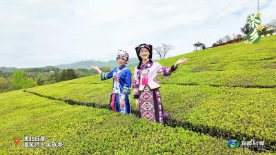 2026年宜都市春茶嘉年华暨潘家湾土家族乡第十一届茶乡女儿会将于4月17日（周五）举行