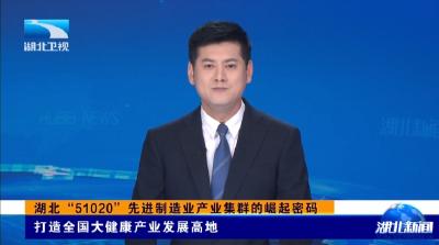 湖北卫视《湖北新闻》报道宜都东阳光