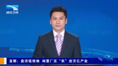 湖北卫视《湖北新闻》报道宜都：盘活低效地 闲置厂区“长”出百亿产业