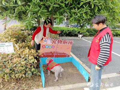 宠物厕所“上岗” 文明养宠“加分”