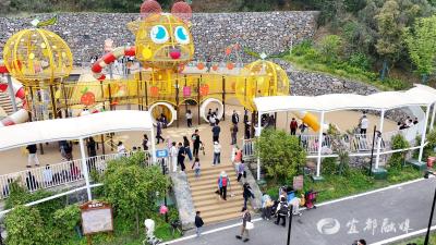 三峡长颈鹿乐园人气旺