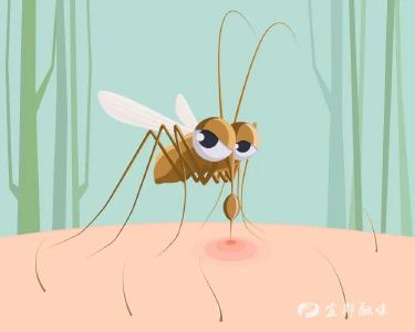 科学防制病媒生物，筑牢健康防线 | 爱国卫生月