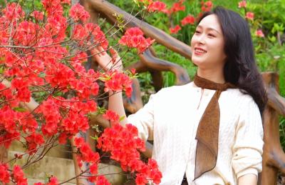 去什么远方？宜都双井寺村的杜鹃花海，藏着一个绝美春天