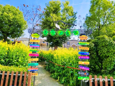 乡村学校如何做儿童友好劳育？答案就在这片农庄