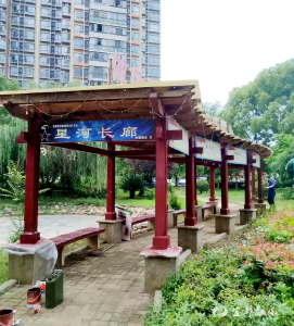 凉亭变“靓亭”