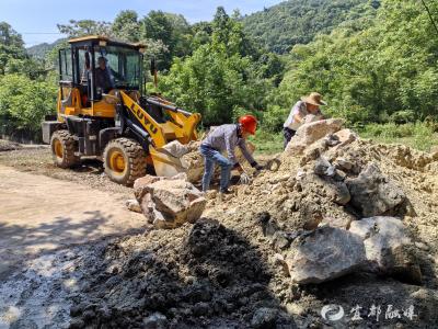 铺就茶山“振兴途”拓宽村民致富路