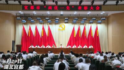 宜都市召开“两优一先”表彰大会