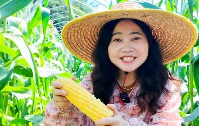 走，去宜都尝鲜！高坝洲镇水果玉米鲜甜上市