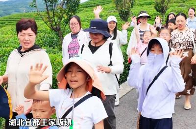 宜都开展亲子茶文化主题推介文明实践活动