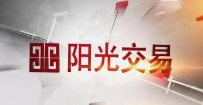 枝城20万以上村级工程实现阳光“入笼”