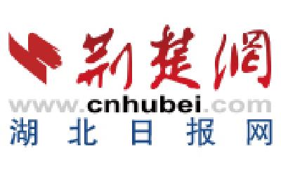 【荆楚网】全省乡镇（街道）综治中心规范化建设现场推进会召开