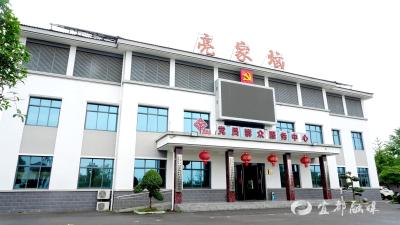 【两江旗帜】亮家垴村党委：以组织振兴激活乡村振兴新动能