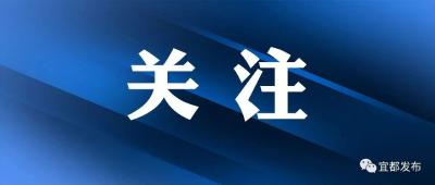 宜都人请提高警惕！这些“养老投资”全是坑→