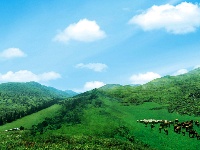 利川齐岳山风光系列图片欣赏