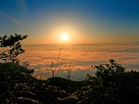 利川齐岳山风光系列图片欣赏