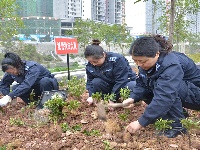 利川辉煌十二五专题图片欣赏