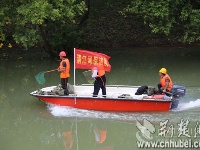 清江的鱼又回来了 作为老渔民的他为何不打渔？