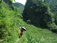 大咖徒步“山马”线 明年我要来利川