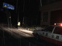 大雪压倒行道树 利川路政连夜清障保畅