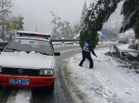 大雪压倒行道树 利川路政连夜清障保畅