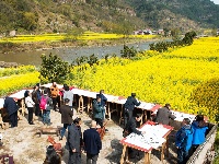 建南油菜花节