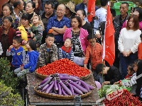 中国农民丰收节