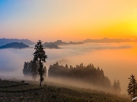 夕阳（二）