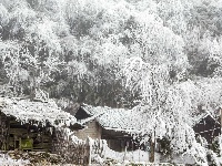 麻山初春冰凌