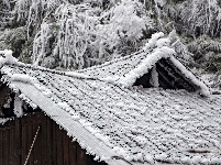 麻山初春冰凌