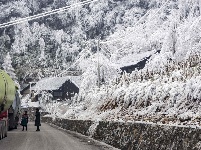 麻山初春冰凌