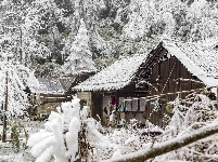 麻山初春冰凌